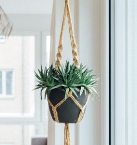 Picture for category Decor